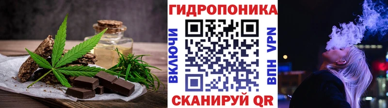 цена   Георгиевск  мега онион  Cannafood конопля 