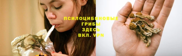а пвп мука Баксан