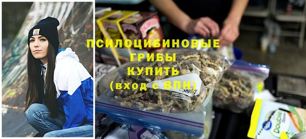 бошки Балахна
