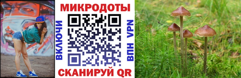 Псилоцибиновые грибы ЛСД Георгиевск
